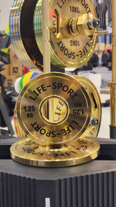 Life Sport Pro Bronze Coating Change Plate 1.25 kg